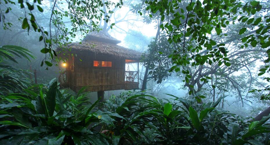 Kondoby Hotels and Resorts India Pvt. Ltd, Thekkady 1